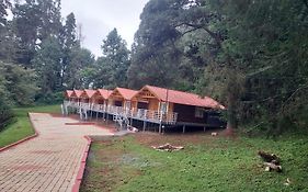 Kstdc Hotel Mayura Sudarshan ,Ooty